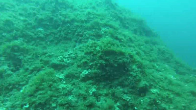 Seabed classification featured image