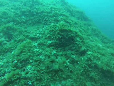 Seabed classification featured image